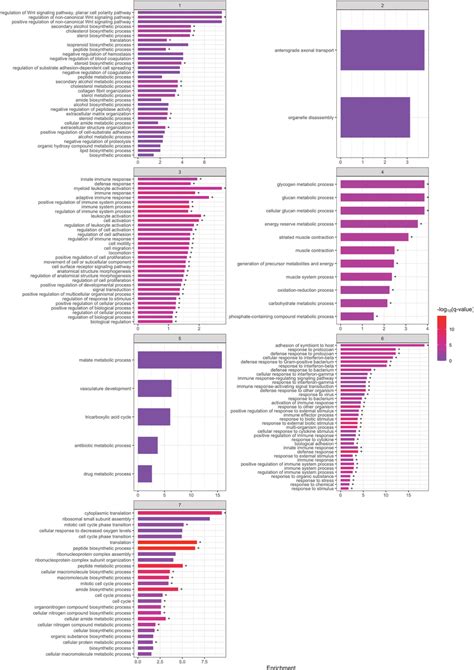 Gene Ontology Biological Process Go Bp Functional Enrichment Analysis Download Scientific