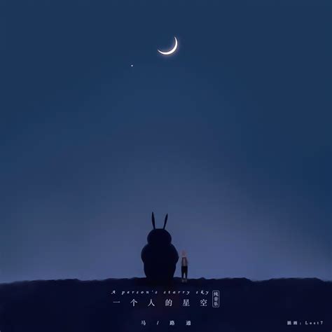 一个人的星空（a Person S Starry Sky） 马路通 单曲 网易云音乐