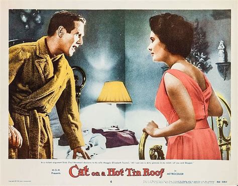 Cat On A Hot Tin Roof Limelight Movie Art