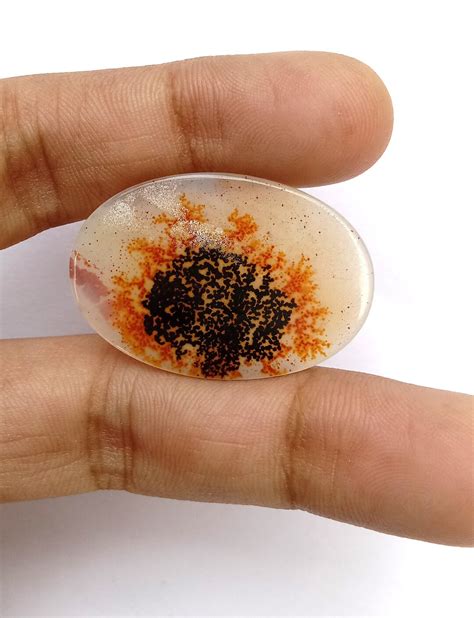 Natural Rare Dendritic Agate Natural Dendritic Shazar Agate Loose