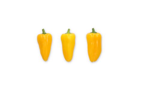 Semillas De Pimiento Amarillo Sweet Palermo YELLOW COCADA RZ F1