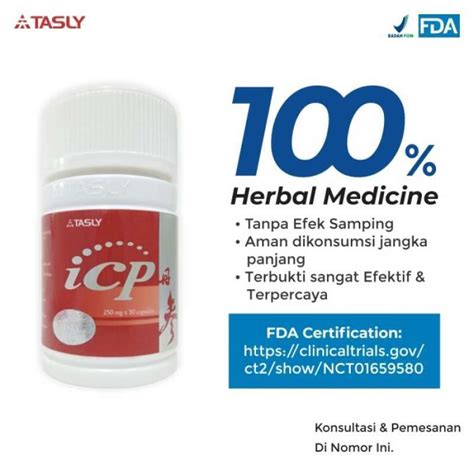 Promo Promo Icp Capsule Tasly Obat Jantung Stroke Herbal Bukan