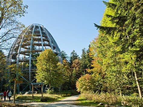 Erholungsgarten Wohlf Hlen In Wegscheid Bayerischer Wald