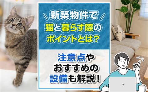 新築物件で猫と暮らす際のポイントとは？注意点やおすすめの設備も解説！｜センチュリー21成ハウジングの不動産情報