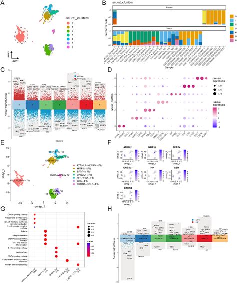 Figure 3 From Comprehensive Single Cell Analysis Reveals Heterogeneity