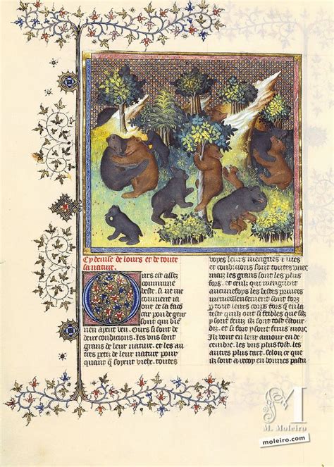 Of The Bear And Its Nature V Livre De La Chasse By Gaston F Bus