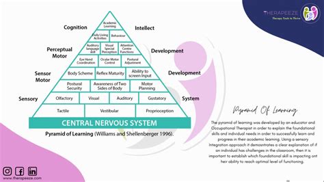 The Learning Pyramid YouTube