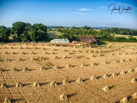 Thatching Projects & Growing Thatch Materials in Hampshire