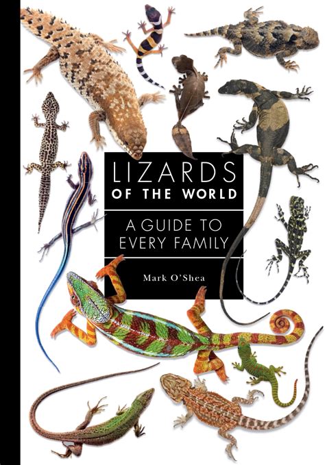 Lizards Of The World Princeton University Press