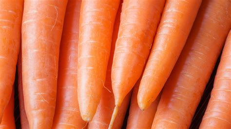 Growing Carrots In Your Home Garden Homegrown Nc State University