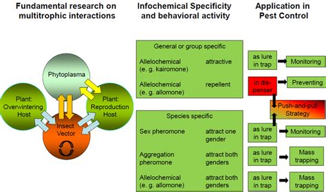 Scheme Of Chemically Mediated Multitrophic Interactions Between Host