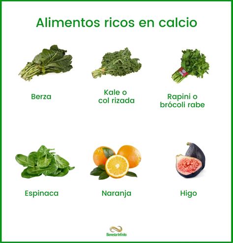 Alimentos ricos en calcio - Bienestar Infinito