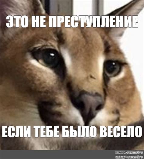 Meme ЭТО НЕ ПРЕСТУПЛЕНИЕ ЕСЛИ ТЕБЕ БЫЛО ВЕСЕЛО All Templates