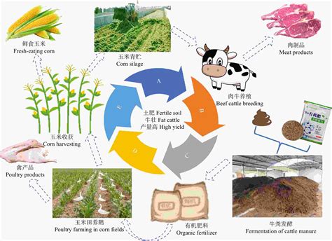 黑土区种养结合型循环农业模式探究 以海伦市为例