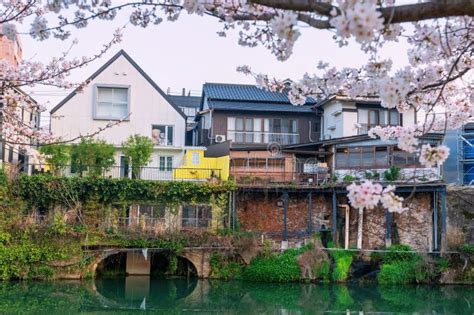 Hotel And Hot Spring Ryokan With Sakura Cherry Blossom At Ureshino Stock Image Image Of Pink