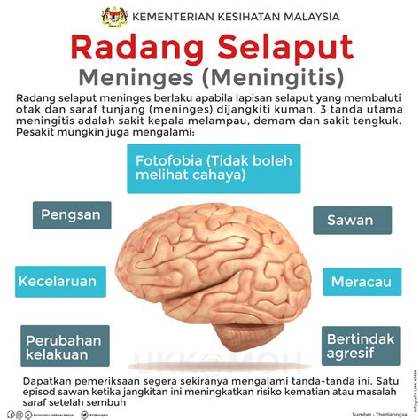 Penyakit Meningitis Keradangan Selaput Otak Tips Kesihatan