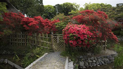 Wallpaper Kyoto Japan Nature Parks Fence 1366x768