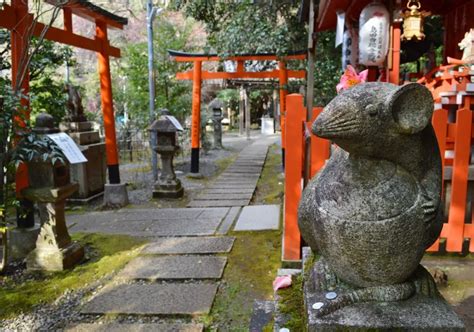 【永観堂エリア11選】死ぬまでに行きたい京都左京区の絶景（南禅寺～銀閣寺）｜異世界ひとり旅