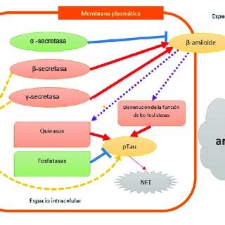 Fisiopatología general de la cascada amiloide en la EA Download