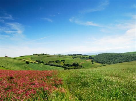 Il Molise E Il Tartufo Lemme Tartufi