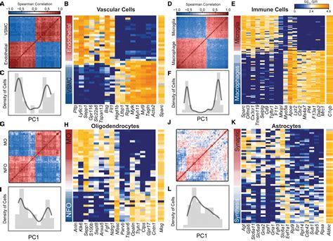 Cellular Taxonomy Of The Mouse Striatum As Revealed By Single Cell Rna