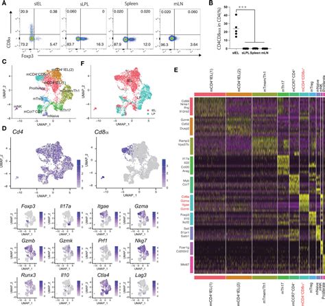 Frontiers Single Cell Transcriptomics Of Human Gut T Cells Identifies