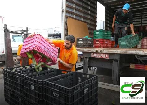 Motivos Para Escolher A Caixa De Frutas Da Ceasa Para Frutas Frescas