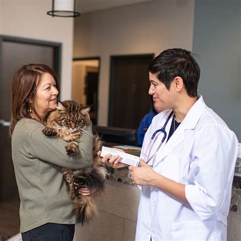 Pricing Strategy For Veterinary Practices American Veterinary Medical