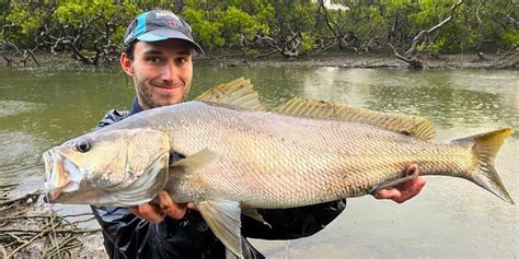 Land-based fishing Botany Bay: Mulloway Madness | Doc Lures