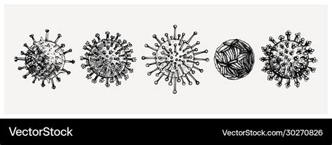 Different Kinds Virus Sketches Collection Vector Image