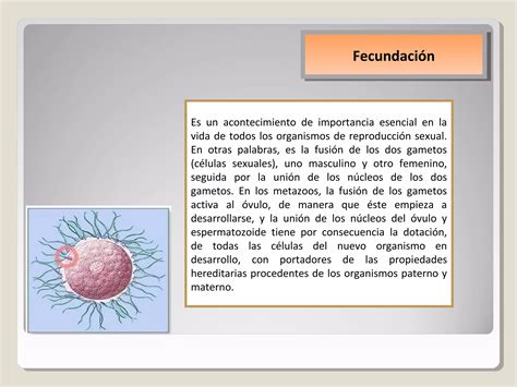 Presentación desarrollo embrionario PPT