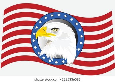 Bald Eagle American Flag Vector Perfect Stock Vector (Royalty Free) 2285336583 | Shutterstock