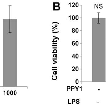 Effect Of Bioactive Peptide From P Yezoensis Ppy On The