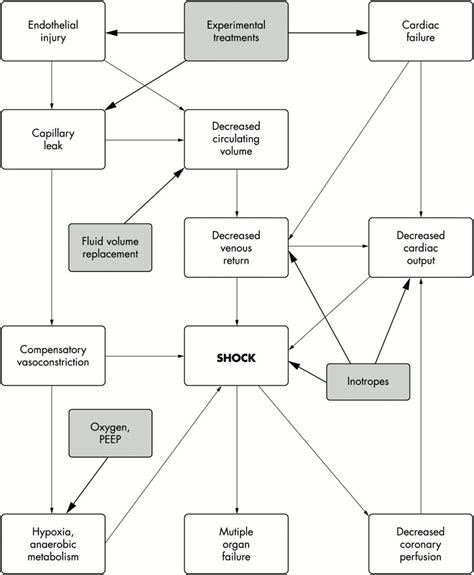 Pathophysiology Of Septic Shock Filled Boxes Are The Treatment Download Scientific Diagram