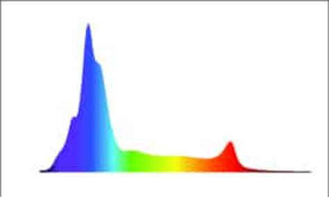 The Optimal Light Spectrum in a Reef Aquarium | Reef2Reef