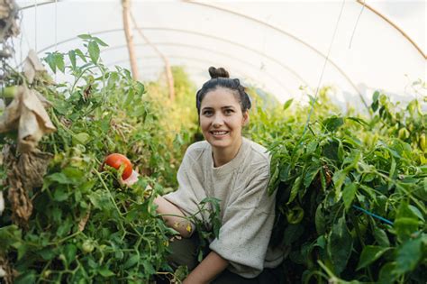 Portrait Of A Millennial Farmer Stock Photo - Download Image Now - Polyethylene Tunnel, 30-39 ...