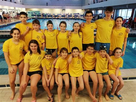 Actualit Championnats D Partementaux Les Club Natation