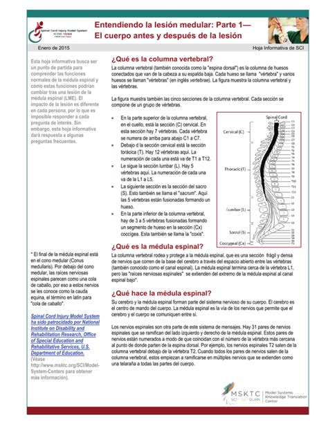 Entendiendo la lesión medular Parte 1El cuerpo antes y después