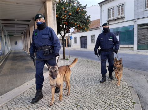 Operação Da Gnr Reforça Patrulhamento E Sensibilização Nas áreas De