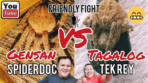 Solid Fast Fight With Tek Rey Tagalog X Gensan Nameless Load