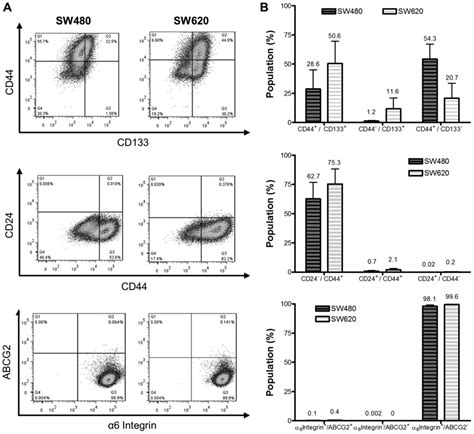 In Vitro Analysis Of Putative Cancer Stem Cell Populations And