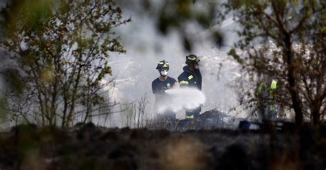 Miles De Hectáreas Arrasadas Por Los Incendios Forestales En España En