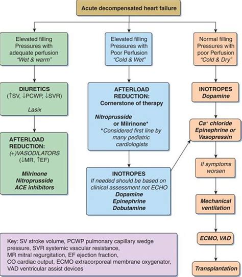 Congestive Heart Failure Cardiovascular Emergencies Strange And