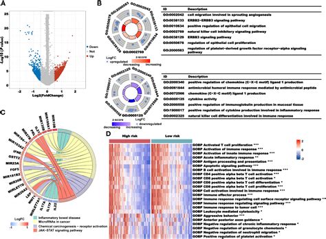 Frontiers Computational Identification And Clinical Validation Of A