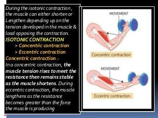 Isotonic & Isometric contraction of muscle.pptx