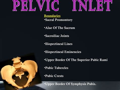 Contracted Pelvis Ppt