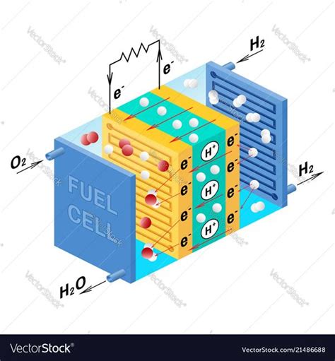 Diagram Of Fuel Cell