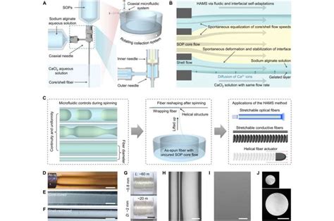 Hydrogel Assisted Microfluidic Spinning Of Stretchable Fibers Via