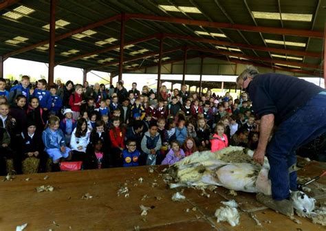 Suffolks 15th School Farm And Country Fair Looks At Everything From