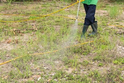 Spraying herbicide stock photo. Image of rural, green - 114106596